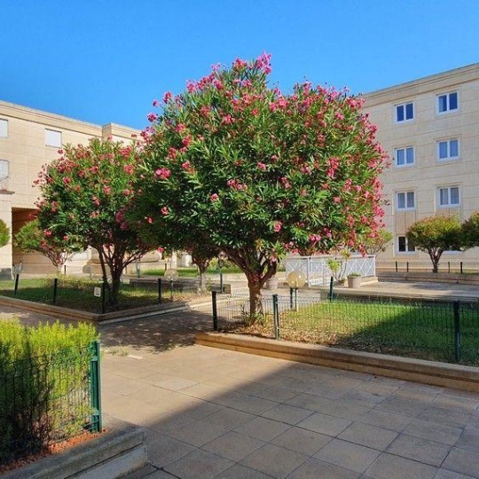  Annonces LOCATION PALAVAS : Appartement | MONTPELLIER (34000) | 71 m2 | 237 000 € 