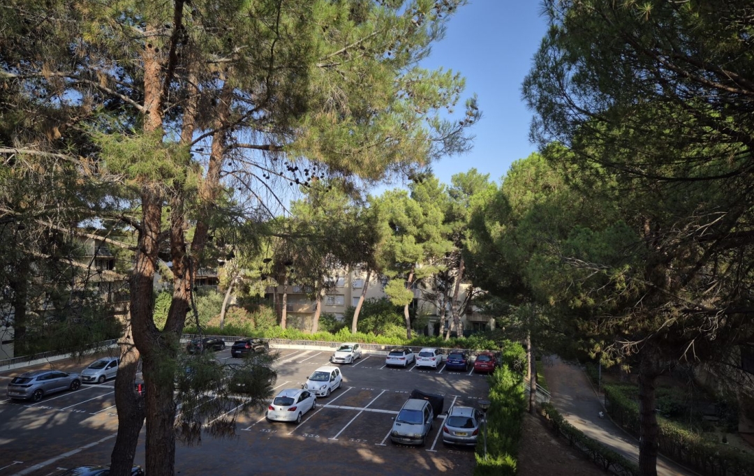 Annonces LOCATION PALAVAS : Appartement | MONTPELLIER (34000) | 85 m2 | 229 500 € 